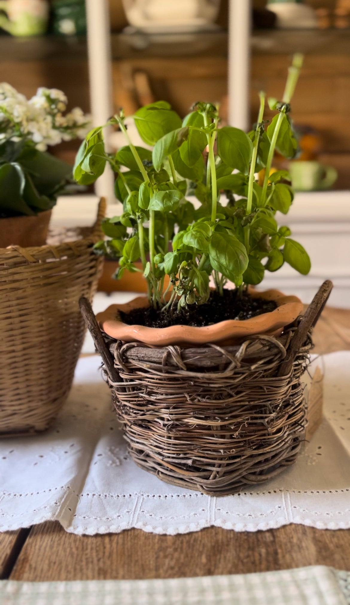 Planter Baskets (sold separately, plants not included)