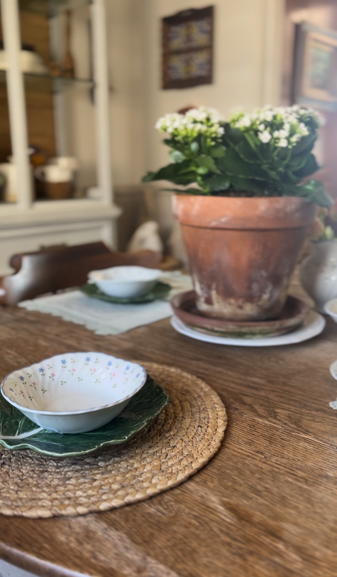 Melody Pattern Johnson Bros China made in England (plates, bowls, teacup, and pitcher sold separately)