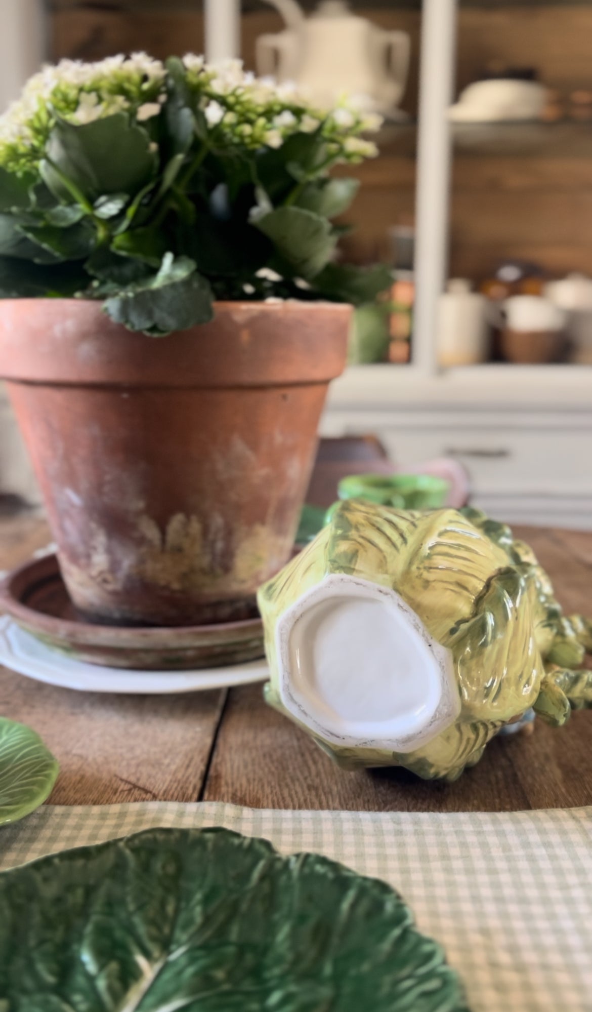 Cabbage Peter Rabbit Pitcher