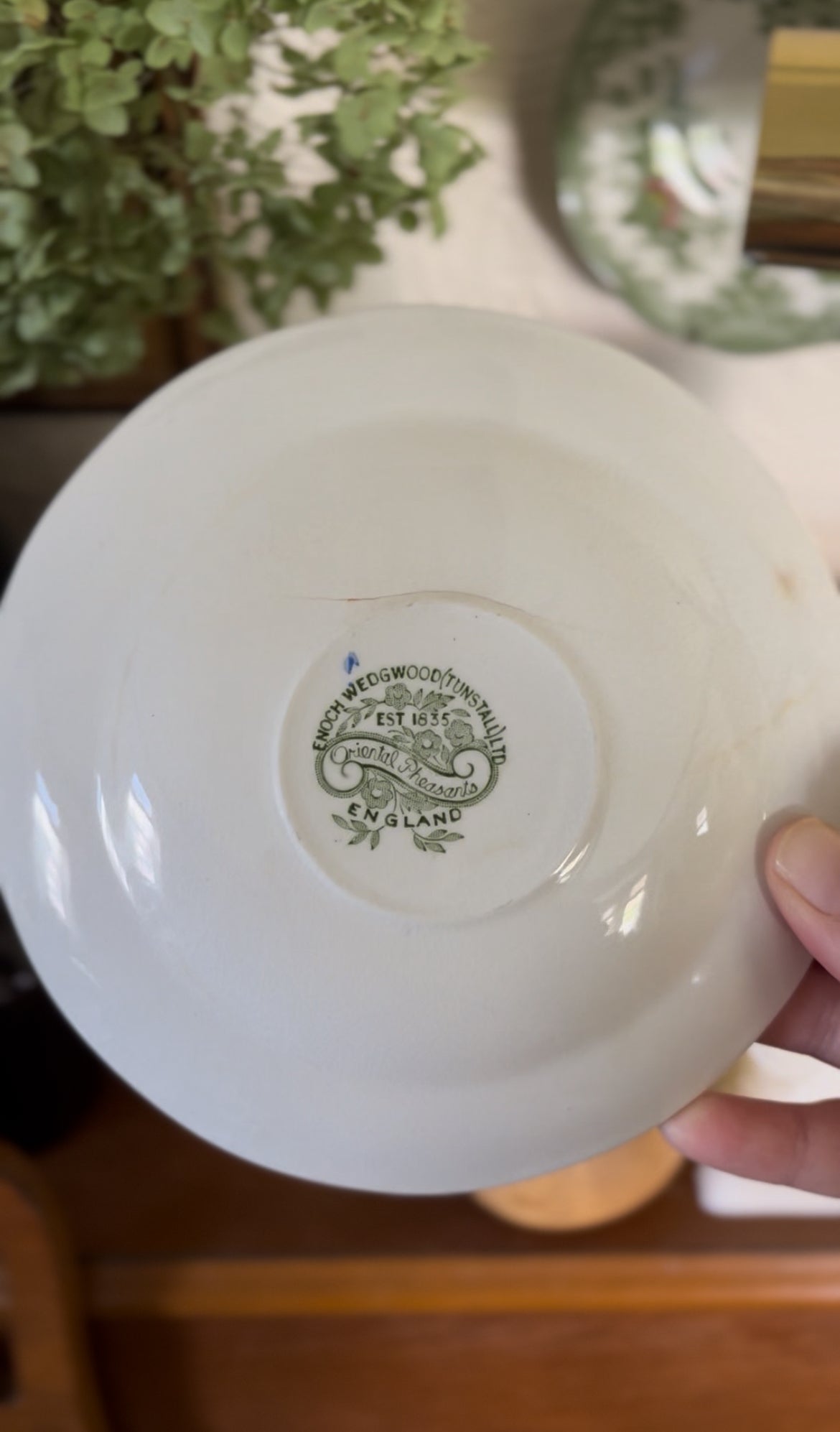 Enoch Wedgwood Oriental Pheasants Saucers (2 left)