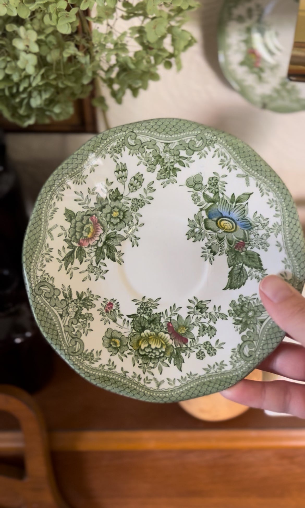 Enoch Wedgwood Oriental Pheasants Saucers (2 left)
