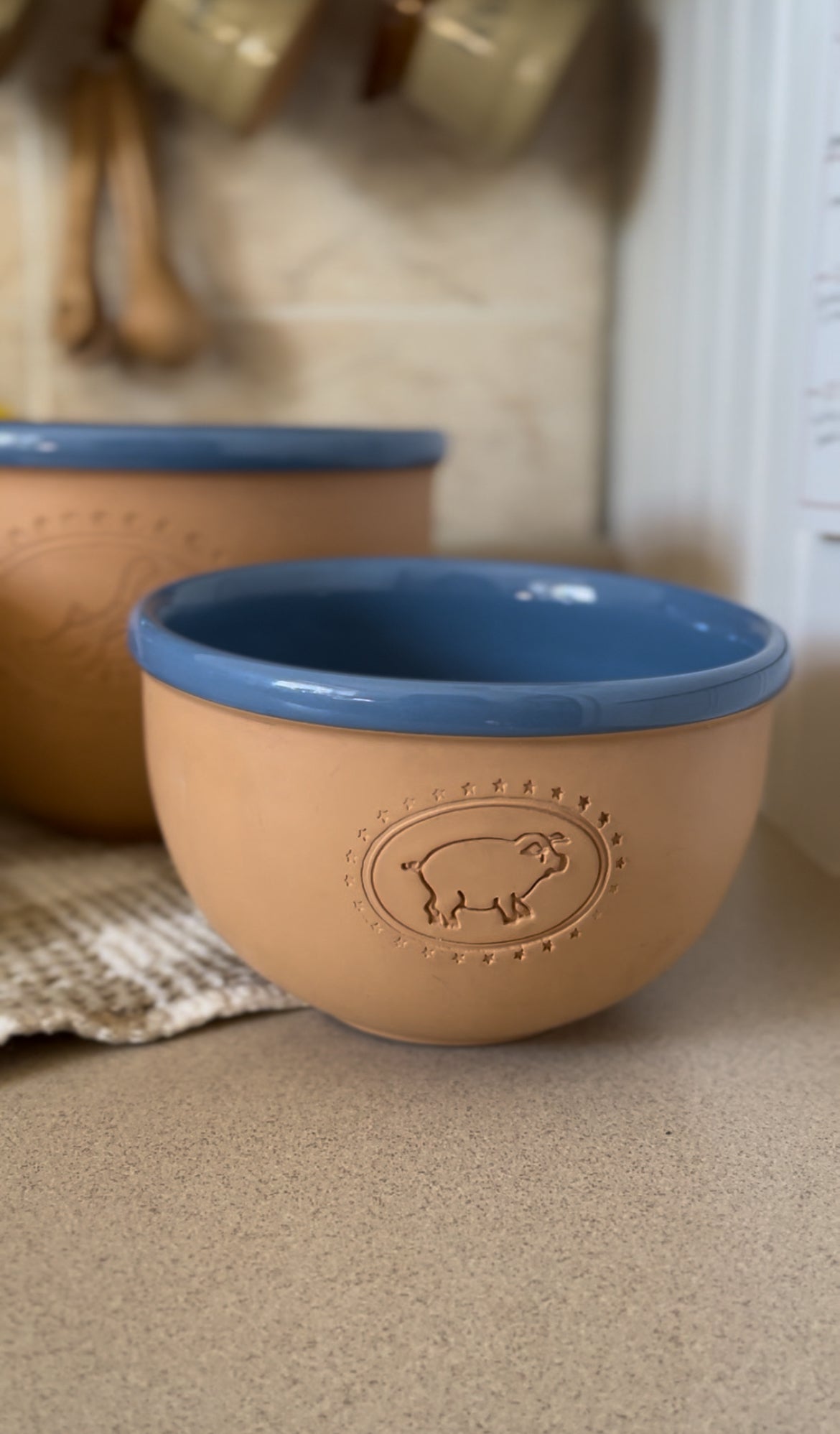 Set of 3 Blue Glazed Terracotta Nested Mixing Bowls with Farm Animal Etchings - made in Italy