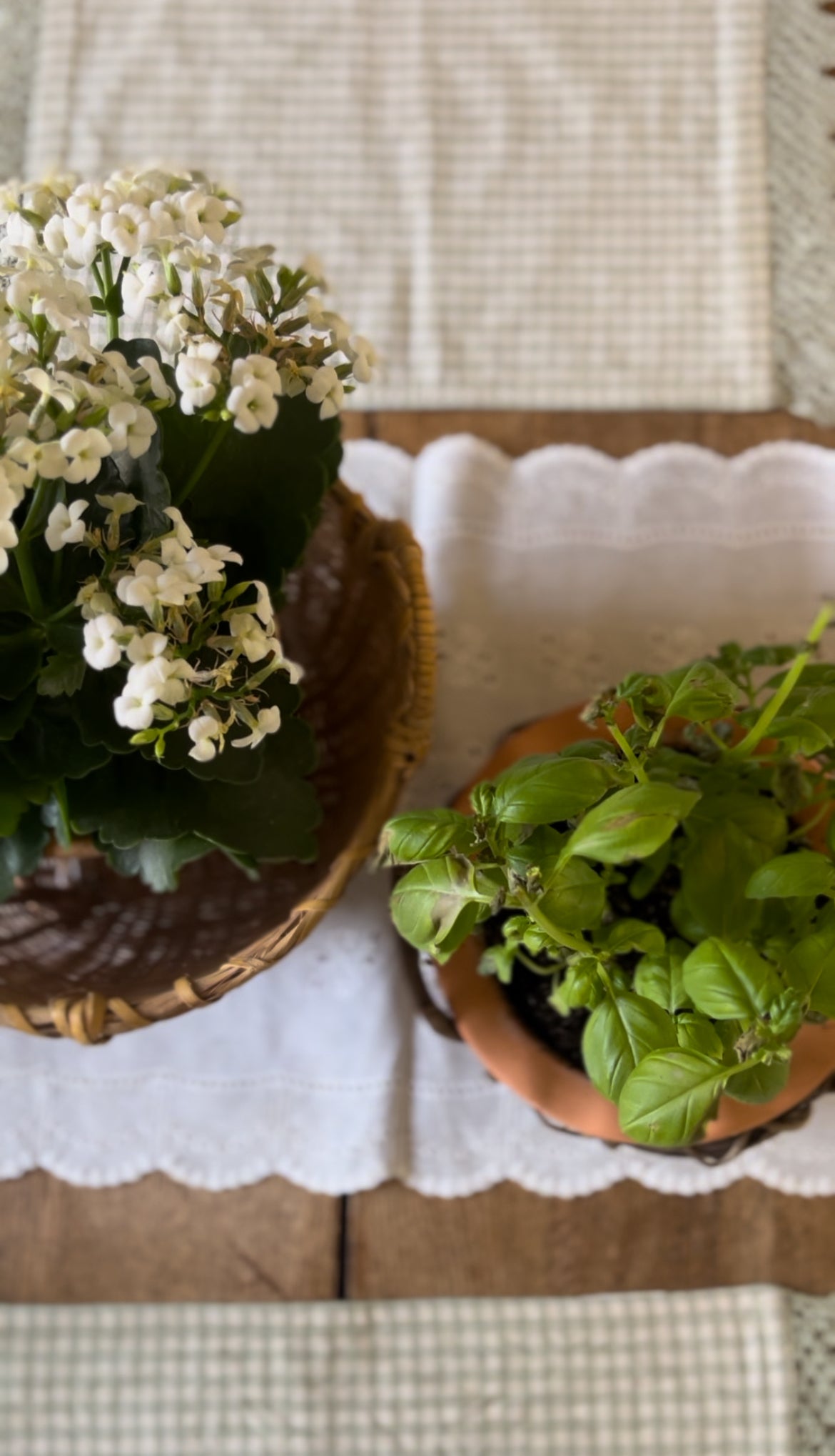 Planter Baskets (sold separately, plants not included)