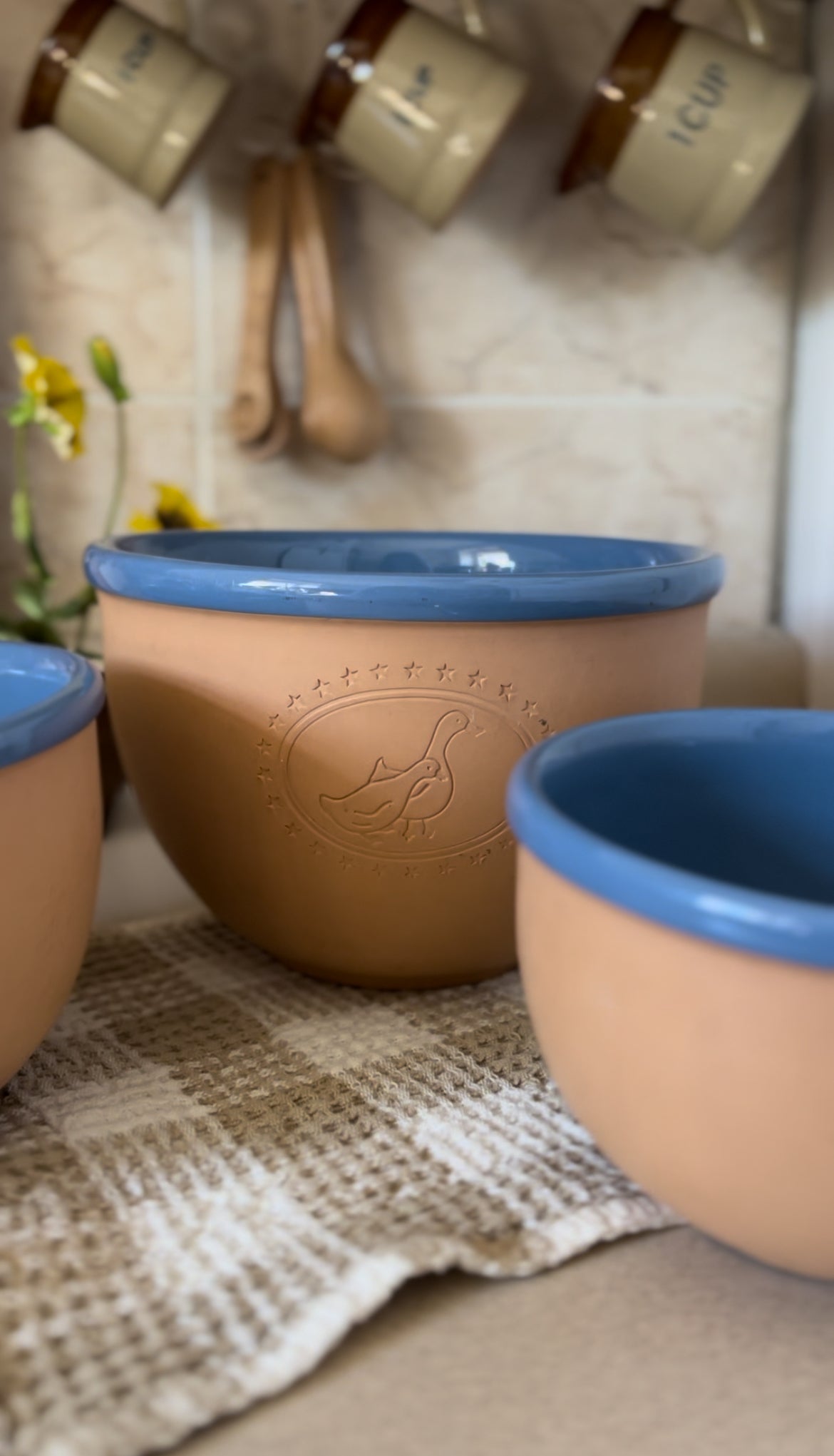 Set of 3 Blue Glazed Terracotta Nested Mixing Bowls with Farm Animal Etchings - made in Italy