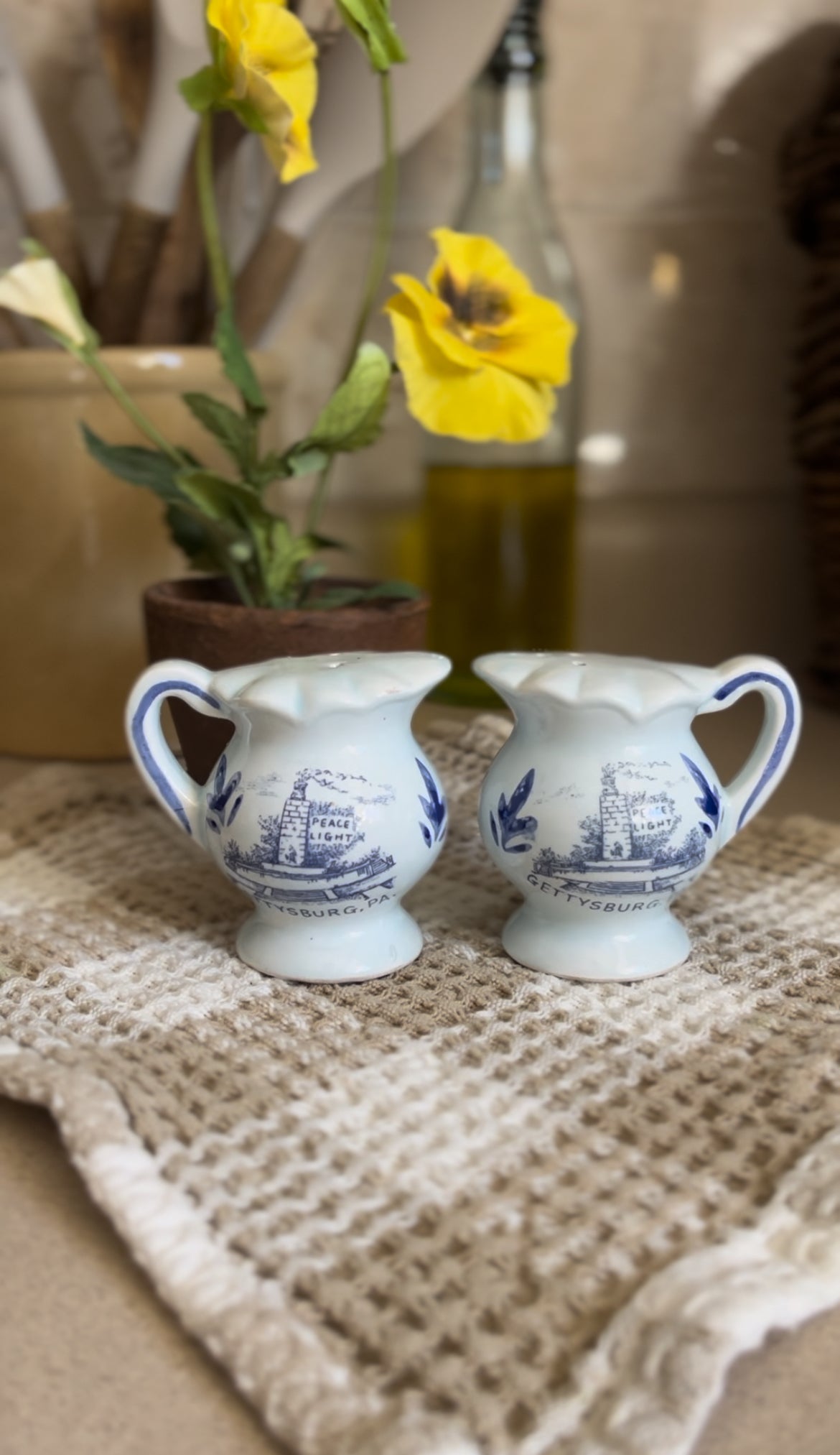 Blue and White Floral Gettysburg PA Salt and Pepper Shakers