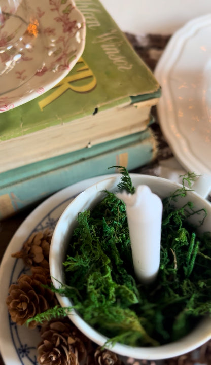 Baruether Indischblau Moss Candle Teacup and Saucer with Pinecones (4 available)