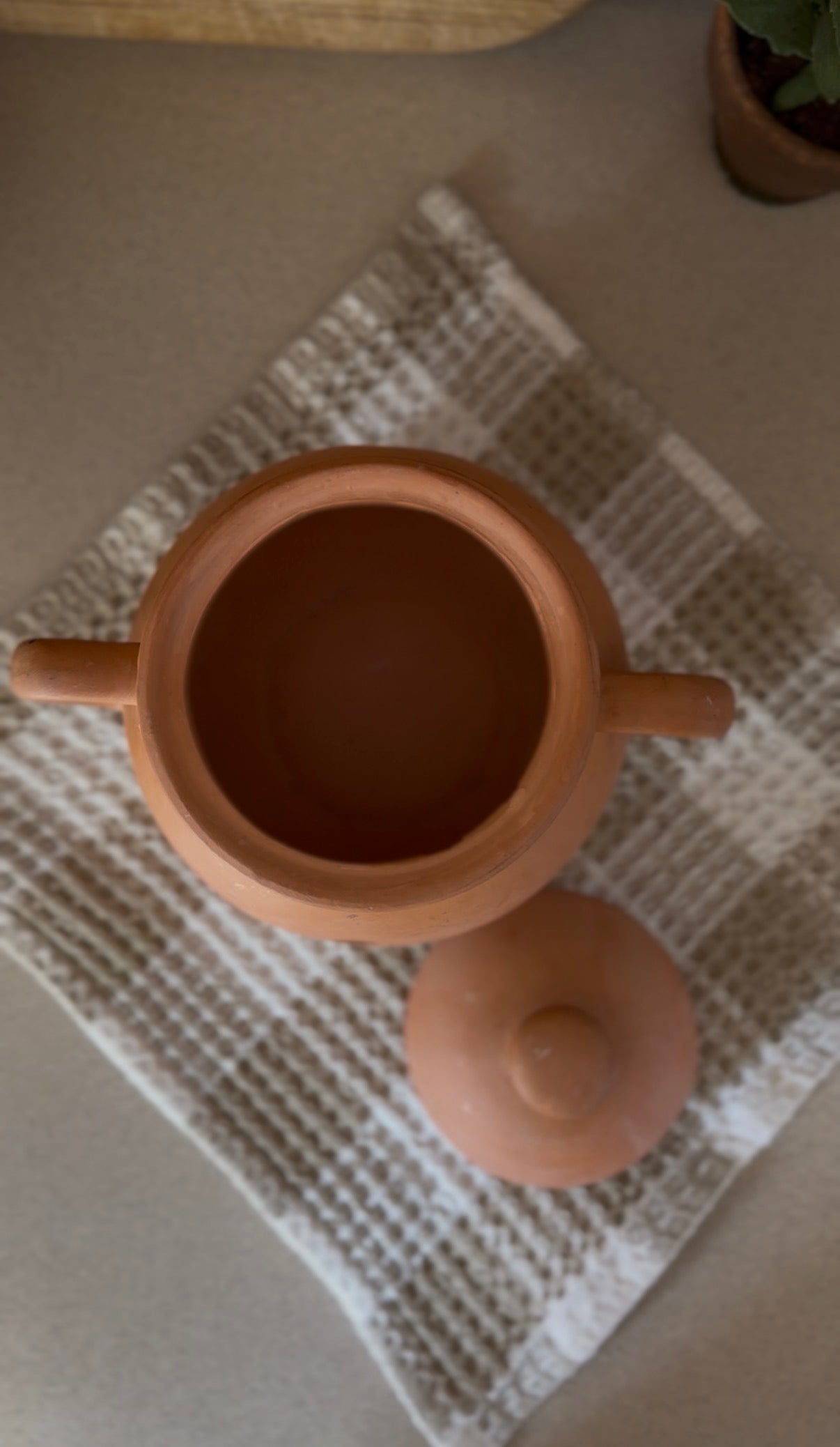 Terracotta Garlic Keeper