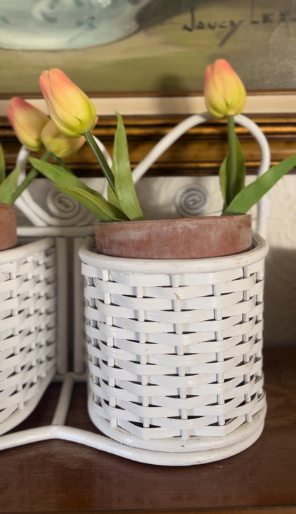 White Wicker Double Planter Basket (comes with terra cotta planters & tulips)