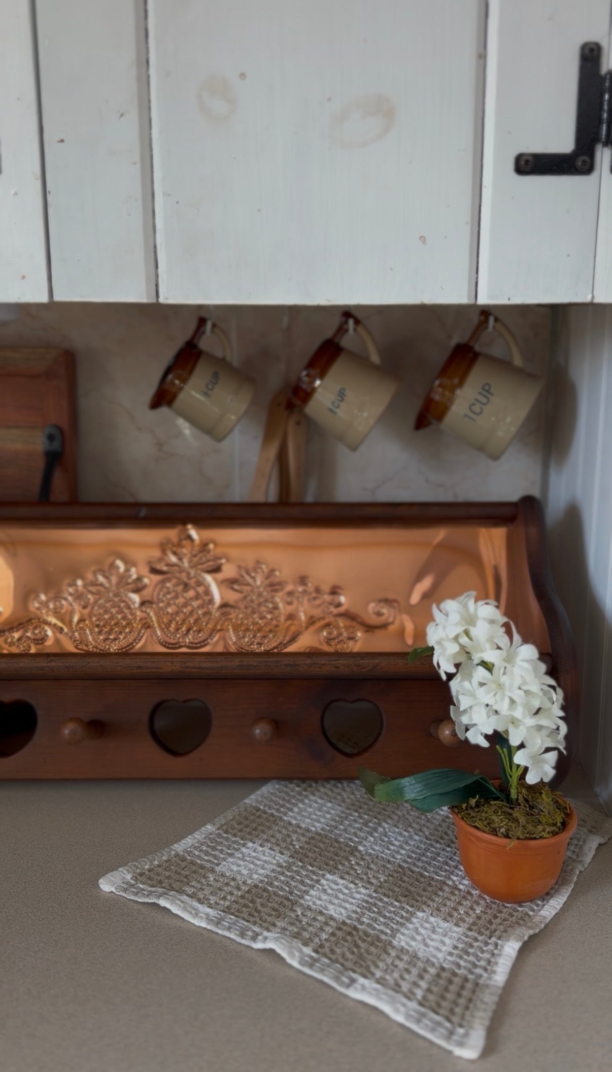 Wooden Shelf with Copper Backing