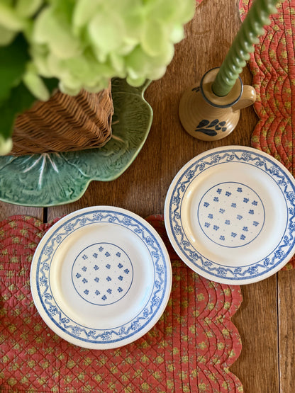 Set of 2 Blue Floral Plates made in Brazil