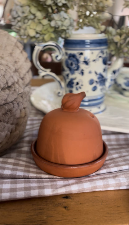 Terra Cotta Garlic Baker by Boston Warehouse Trading Corp.