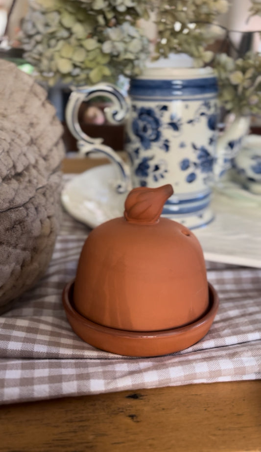 Terra Cotta Garlic Baker by Boston Warehouse Trading Corp.