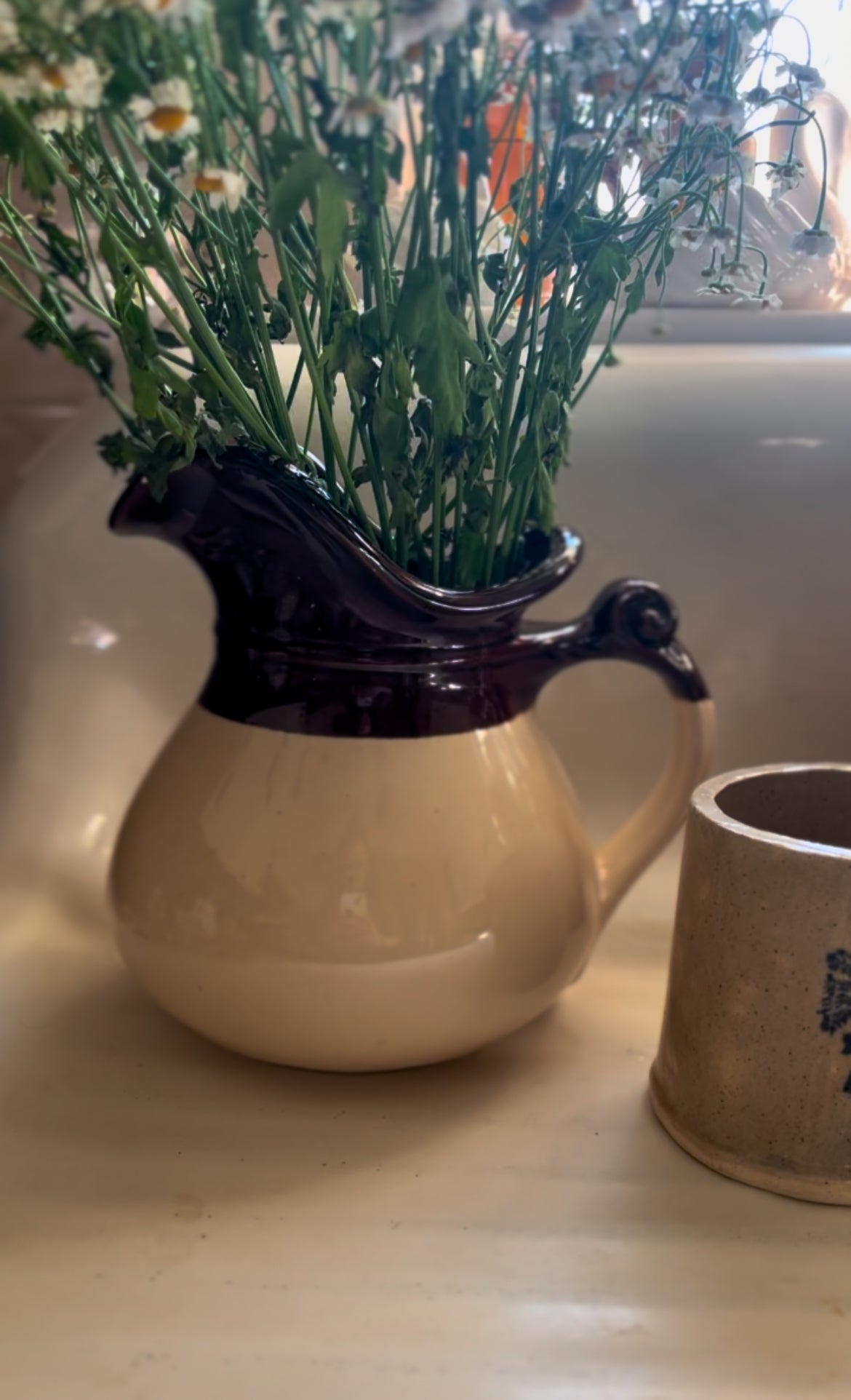 Vintage McCoy Pitcher