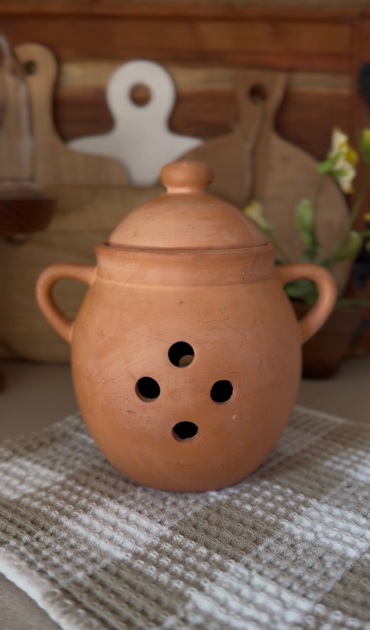 Terracotta Garlic Keeper