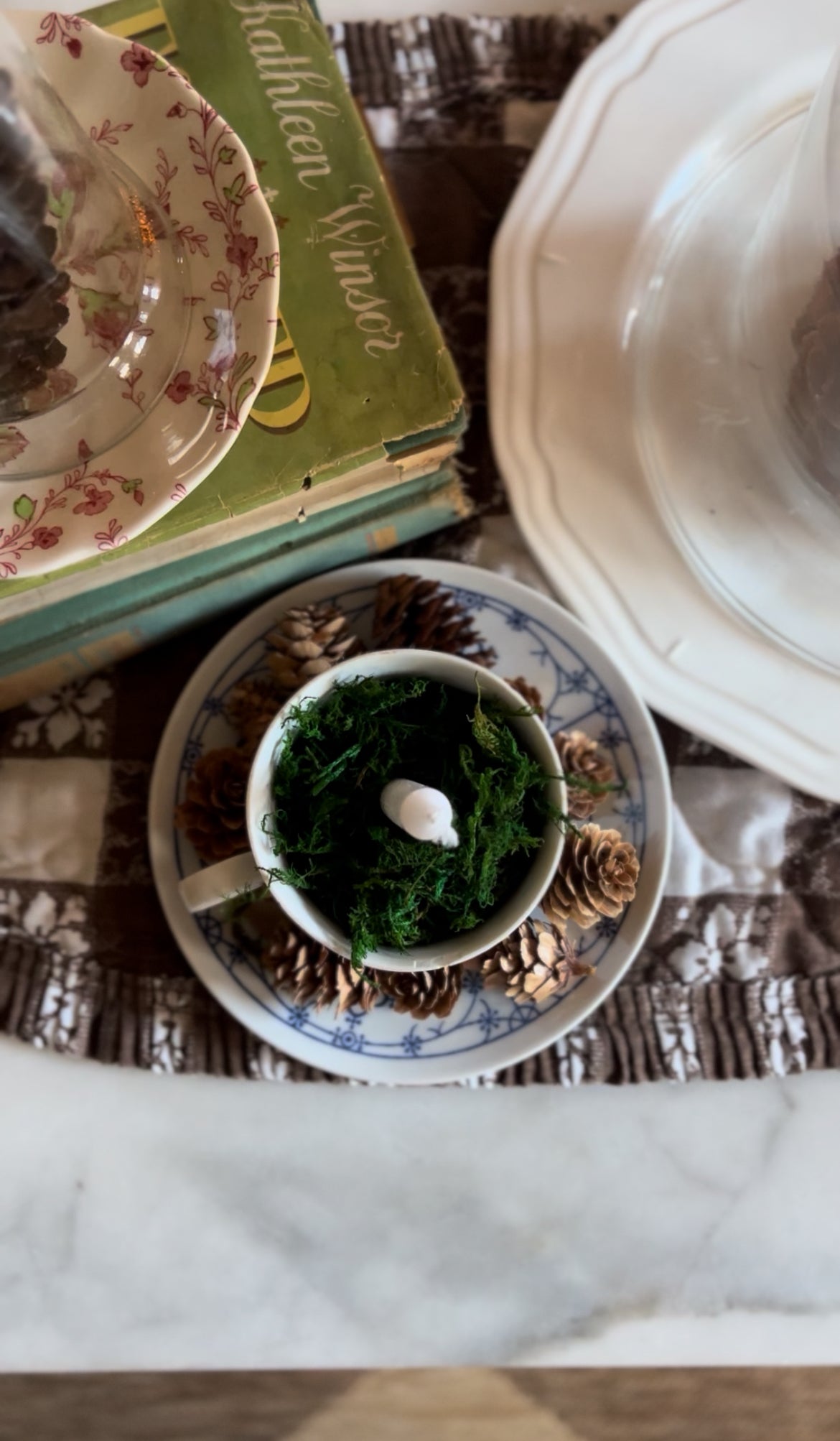 Baruether Indischblau Moss Candle Teacup and Saucer with Pinecones (4 available)