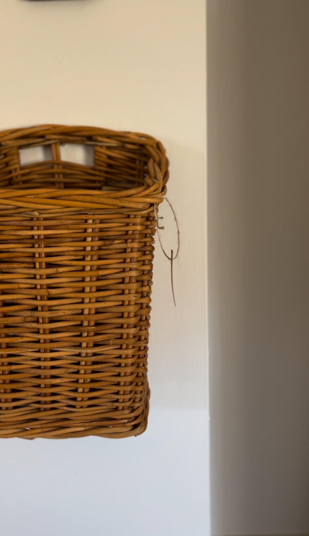 Light-Colored Wicker Hanging Basket