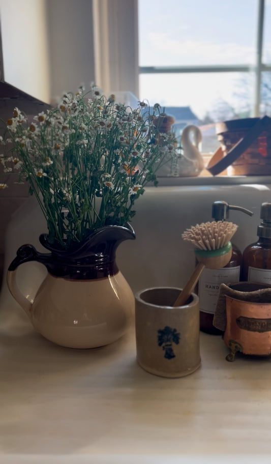 Vintage McCoy Pitcher
