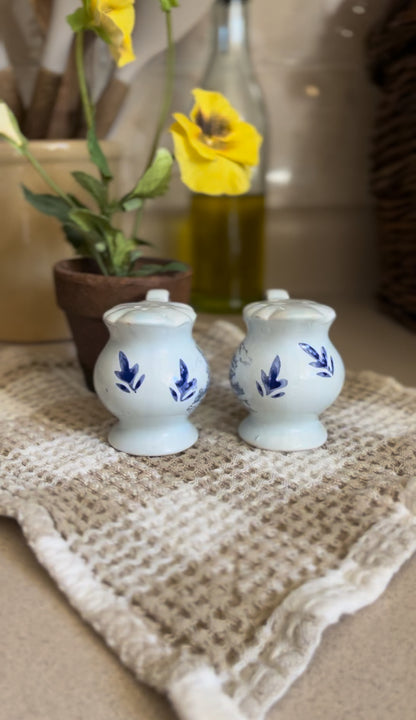 Blue and White Floral Gettysburg PA Salt and Pepper Shakers