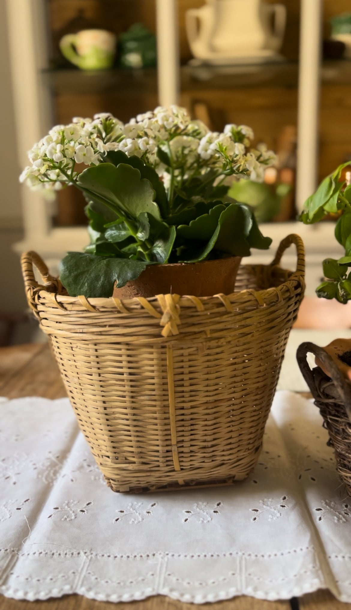 Planter Baskets (sold separately, plants not included)
