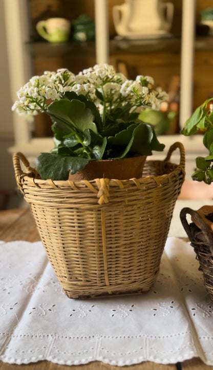 Planter Baskets (sold separately, plants not included)