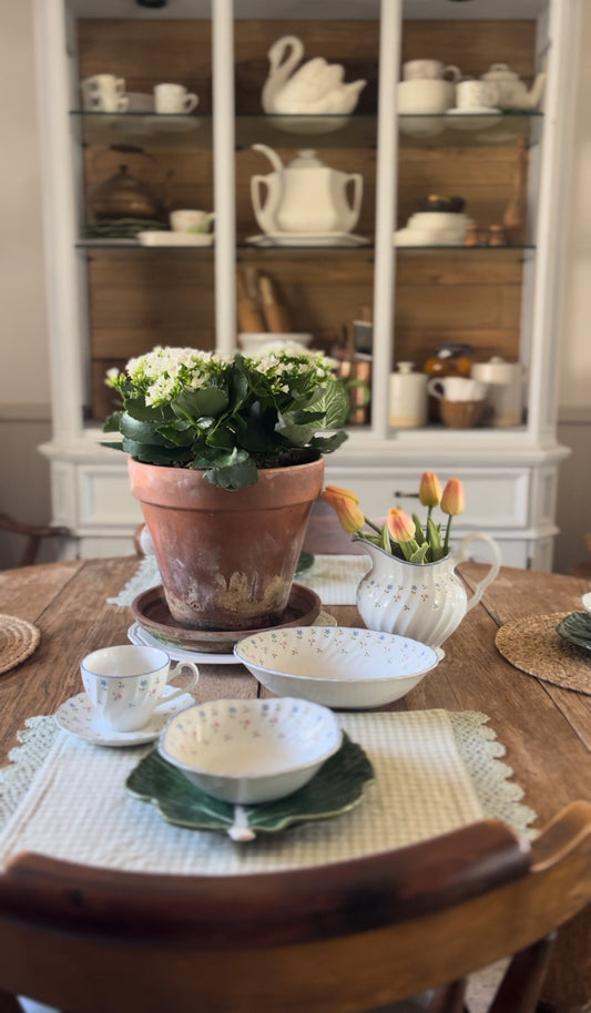 Melody Pattern Johnson Bros China made in England (plates, bowls, teacup, and pitcher sold separately)