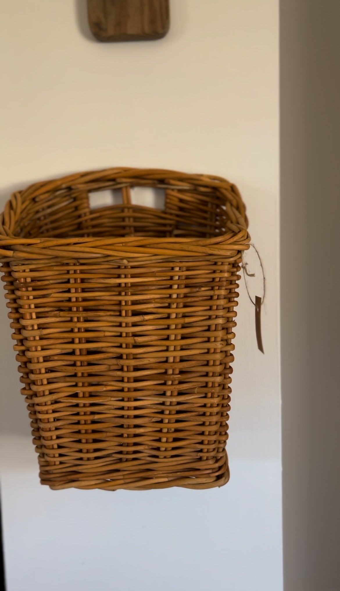 Light-Colored Wicker Hanging Basket