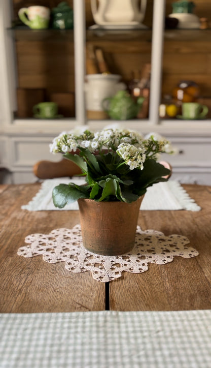 Larger Crocheted Doilies (Sold Separately)