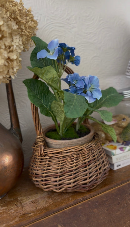 Small Woven Wicker Basket (plant not included)