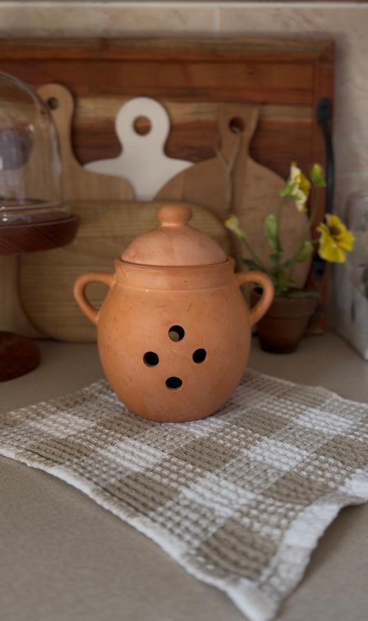 Terracotta Garlic Keeper