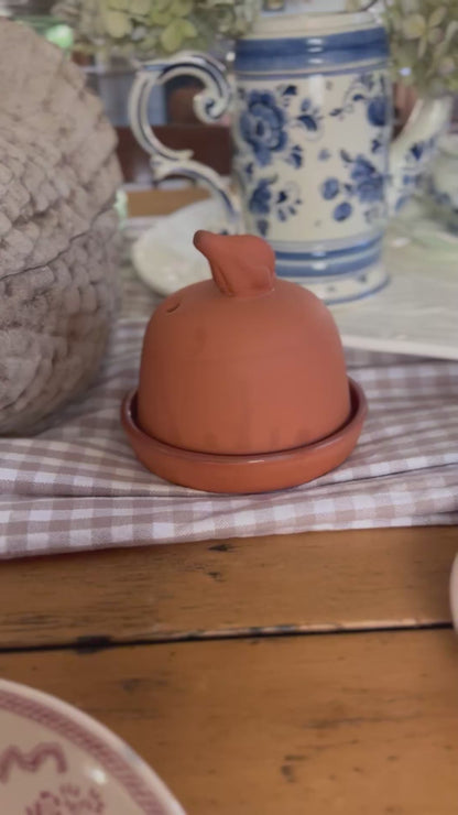 Terra Cotta Garlic Baker by Boston Warehouse Trading Corp.